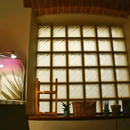 Cosy In The Heart Of Kazimierz, アパート